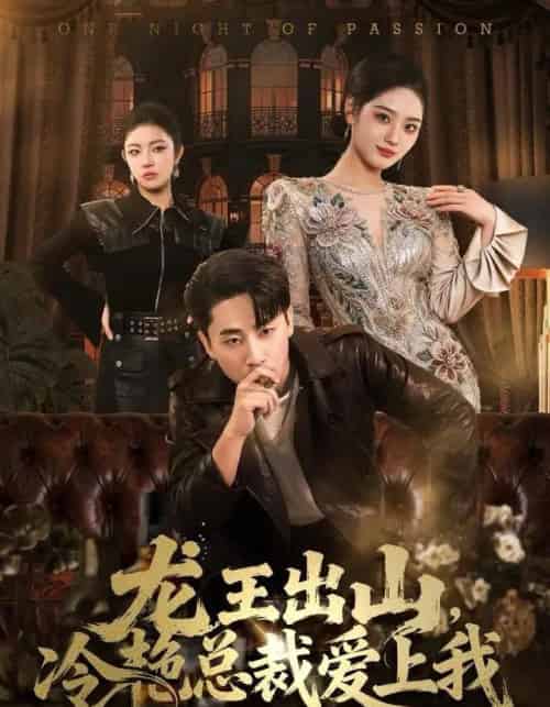 龙王出山，冷艳总裁爱上我（80集全）郭嘉琦＆宋宇欣-初遇资源网