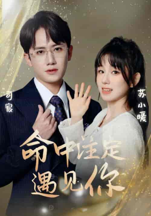 命中注定遇见你(96集)-初遇资源网