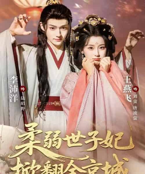柔弱世子妃掀翻全京城（70集全）李沛洋＆王燕飞-初遇资源网