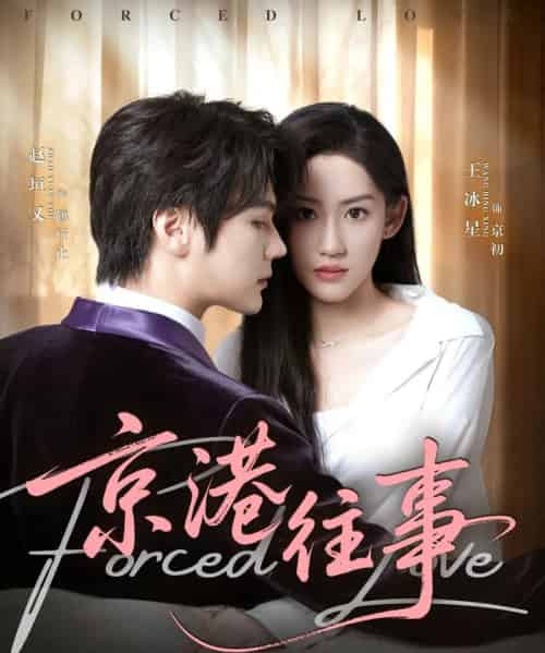 京港往事（80集全）赵垣又＆王冰星-初遇资源网