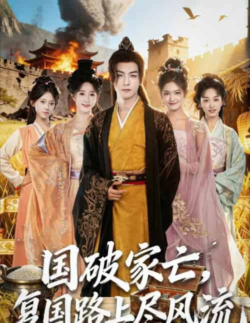 国破家亡，复国路上尽风流（83集全）黄子淇＆张乙萌-初遇资源网