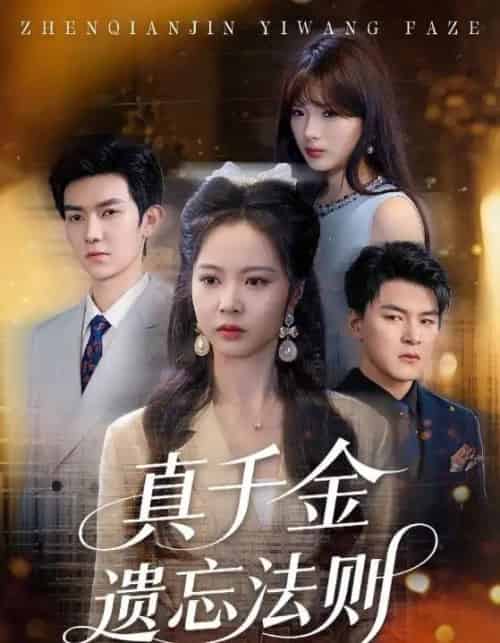 真千金遗忘法则（58集）王旭＆姚慧-初遇资源网