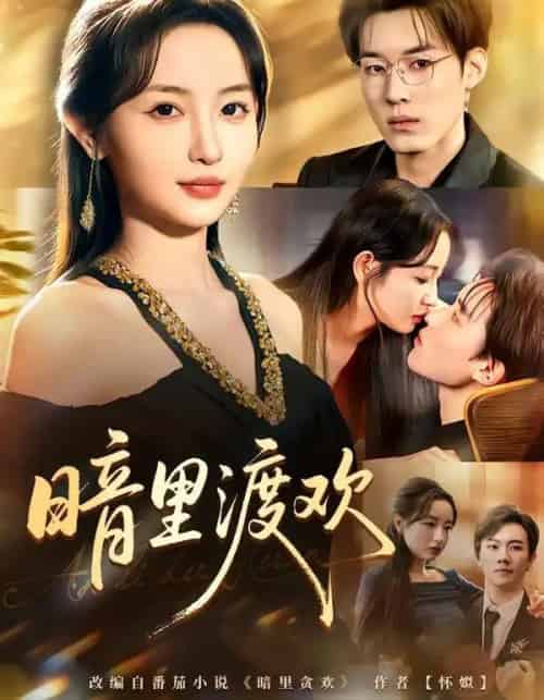 暗里渡欢(80集全)王子岳&刘玥-初遇资源网