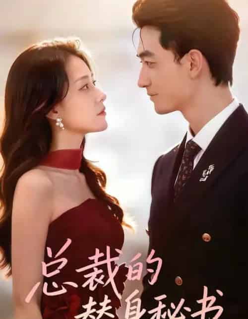 总裁的替身秘书（69集全）李书滔＆韩佳芯-初遇资源网