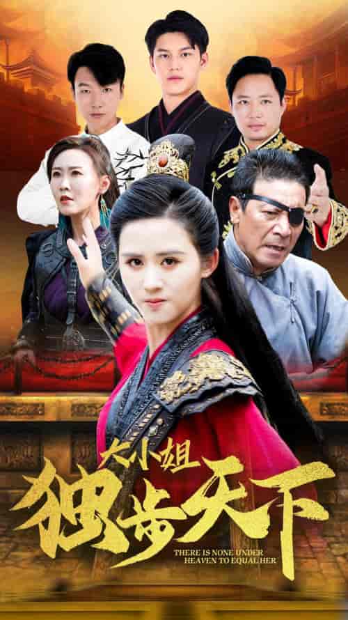 大小姐独步天下（67集）书雪漫-初遇资源网