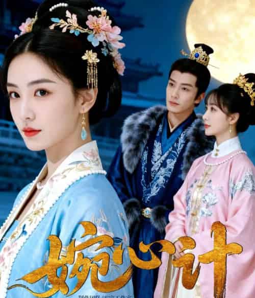 婉心计（49集全）AI-初遇资源网