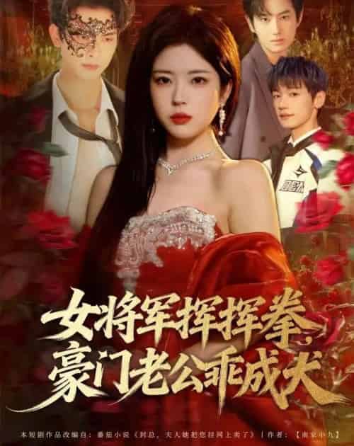 女将军挥挥拳，豪门老公乖成犬（80集全）韦若辰＆熊安妮-初遇资源网