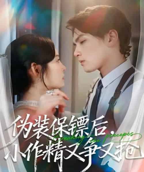 伪装保镖后，小作精又争又抢（62集全）刘昊哲＆徐菡琳-初遇资源网