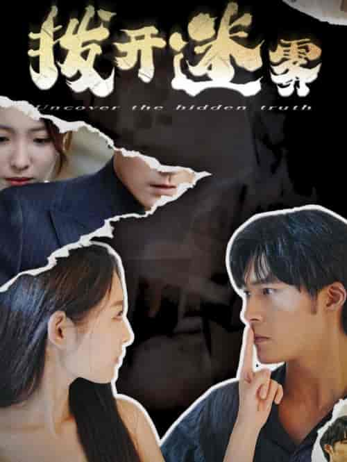 拨开迷雾（85集全）澄芓-初遇资源网