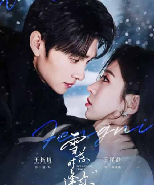 雪落时逢你（75集全）王译磊＆王格格-初遇资源网