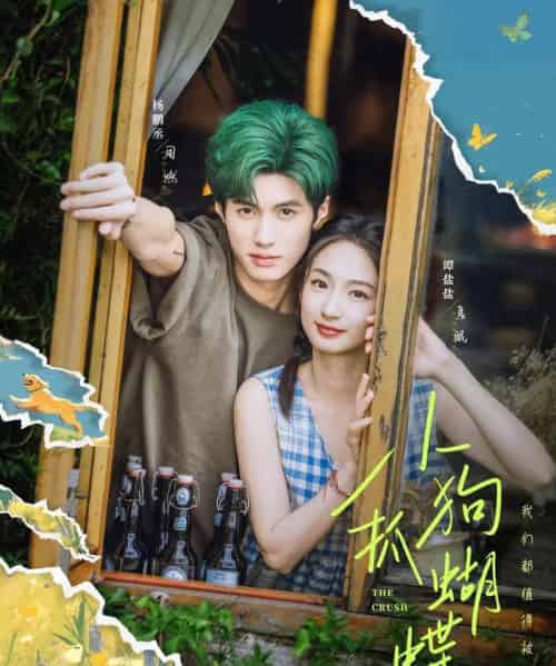 小狗抓蝴蝶(75集)谭盐盐&杨鹏丞-初遇资源网