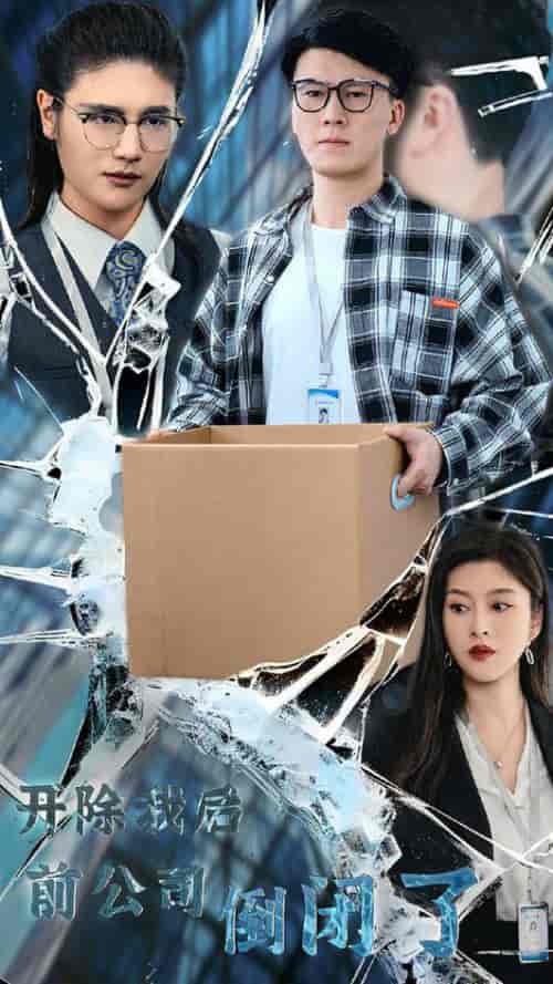 开除我后前公司倒闭了(31集全)-初遇资源网