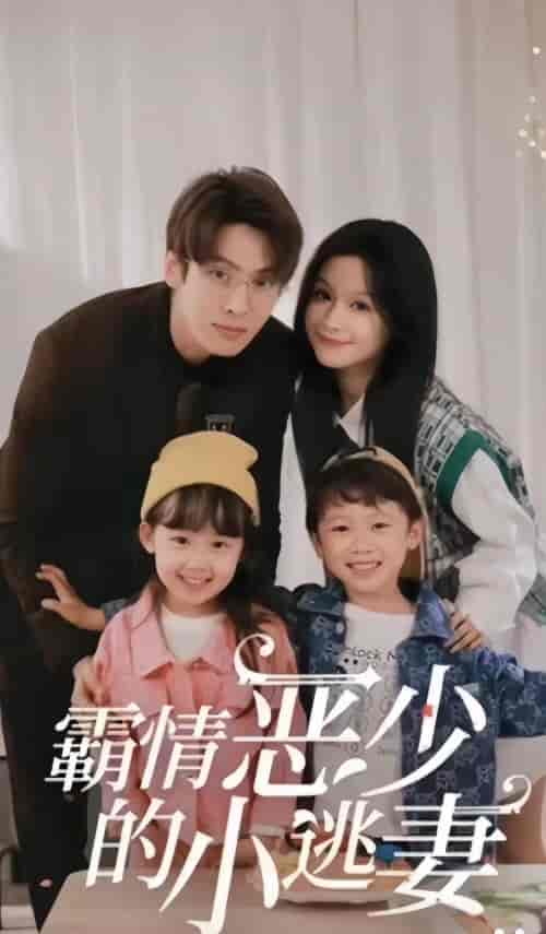 霸情恶少的小逃妻（98集）-初遇资源网