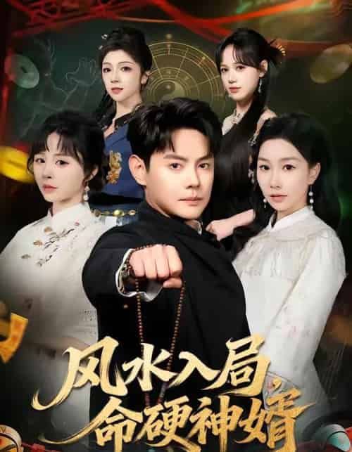 风水入局，命硬神婿（80集全）邱浩轩＆张馨悦-初遇资源网