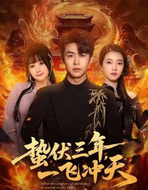 蛰伏三年，一飞冲天（60集全）孔德瑞＆刘浔-初遇资源网