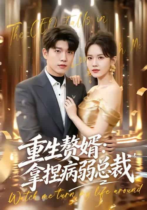 重生赘婿：拿捏病弱总裁（80集全）王奥龙＆傅依凡-初遇资源网