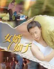 女婿如子（40集全）-初遇资源网