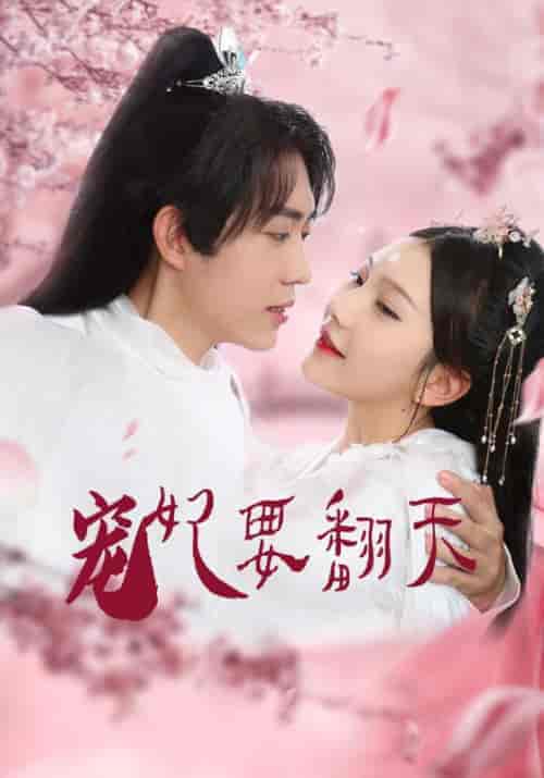 宠妃要翻天(22集全)景卿&独孤宁-初遇资源网