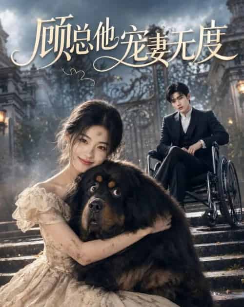 顾总他宠妻无度（36集全）AI - 夸克短剧