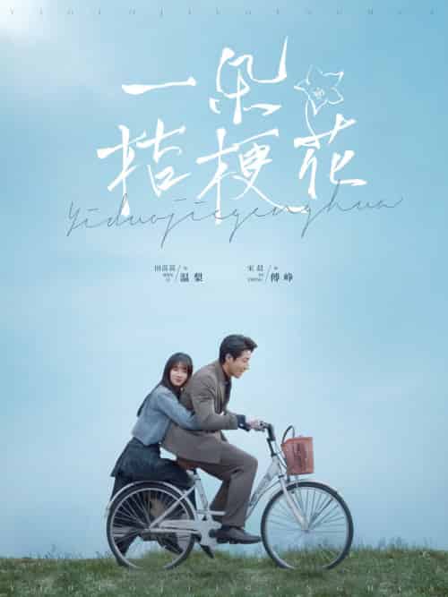 一朵桔梗花（71集全）宋晨＆田苗苗-初遇资源网