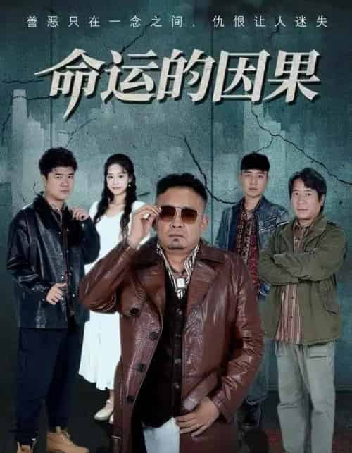 命运的因果（60集全）贾楠＆刘诣文-初遇资源网