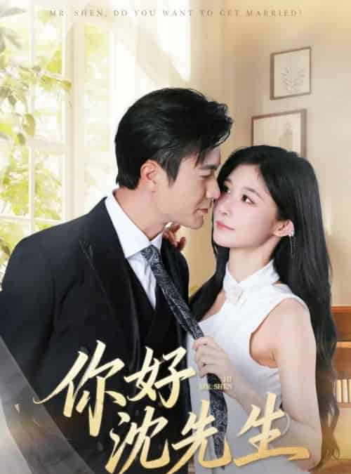 你好沈先生(52集全)罗佳豪&孙妍恩-初遇资源网