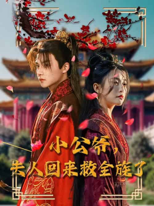 小公爷夫人回来救全族了(100集全)黄子淇&雷笑语-初遇资源网