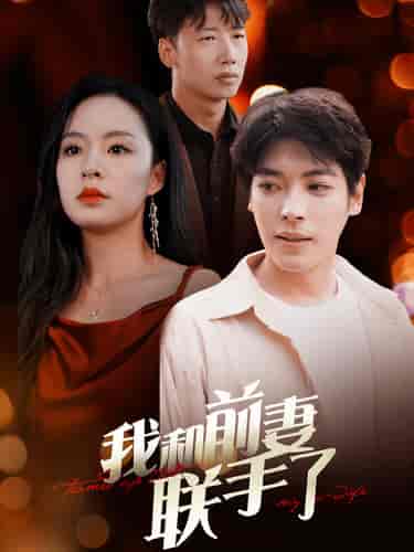 我和前妻联手了(40集)-初遇资源网