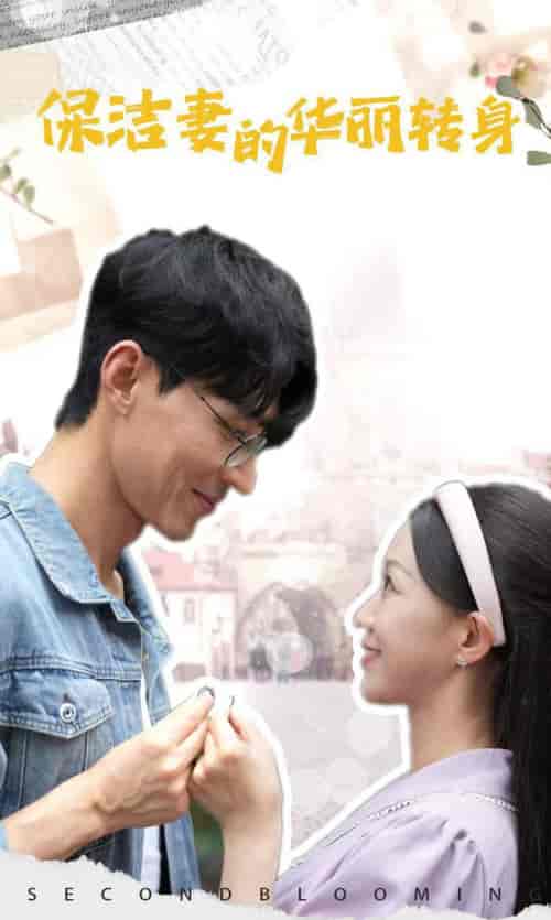 保洁妻的华丽转身（50集全）-初遇资源网