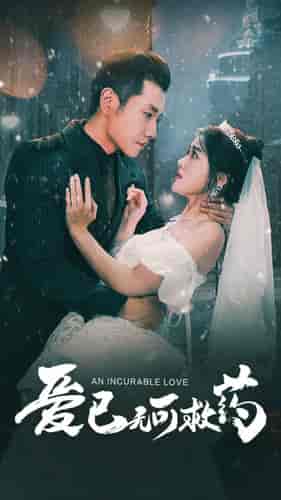 爱已无可救药(83集)黄波-初遇资源网