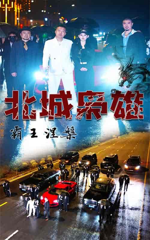 北城枭雄,霸王涅槃(80集)-初遇资源网