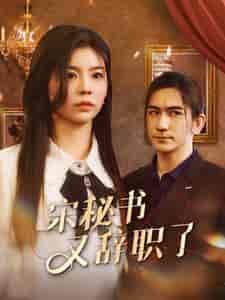 宋秘书又辞职了（85集）-初遇资源网