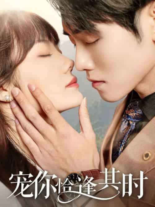 宠你恰逢其时（60集全）-初遇资源网
