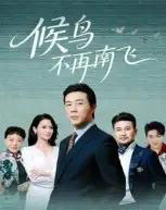 候鸟不再南飞(80集全)苗峯&王真真-初遇资源网