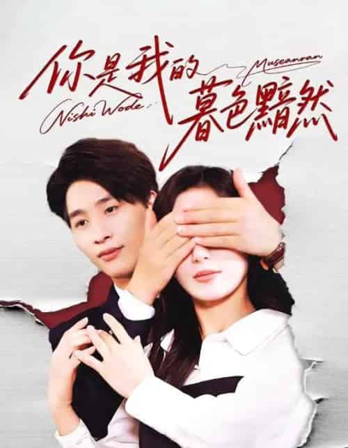 你是我的暮色黯然（80集全）陈运宣＆刘亚倩-初遇资源网