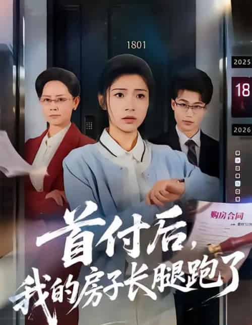 首付后,我的房子长腿跑了(60集全)耿池苏&江海-初遇资源网