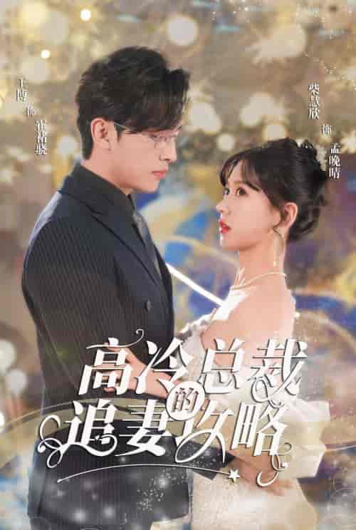 高冷总裁的追妻攻略（65集） - 夸克短剧
