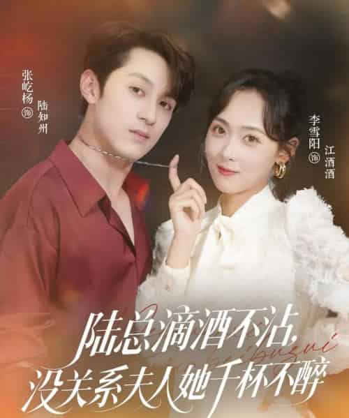 陆总滴酒不沾，没关系夫人她千杯不醉（46集）张屹杨＆李雪阳-初遇资源网