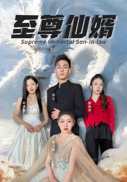 至尊仙婿(100集全)苏尘&林月瑶-初遇资源网