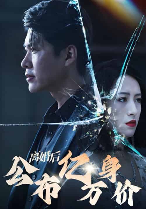 离婚后公布亿万身价（101集全）艾潇潇-初遇资源网