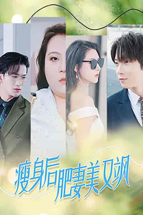 瘦身后肥妻美又飒（52集全）秦天爱＆张乃歌-初遇资源网