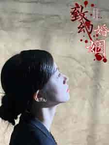 致幻婚姻（100集）-初遇资源网