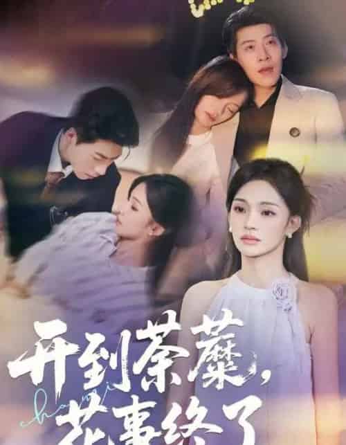 开到荼蘼，花事终了（77集全）靳宇阳＆王为洋-初遇资源网