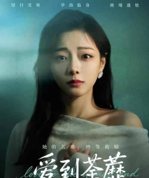 爱到荼蘼（63集全）彭静＆张振东-初遇资源网