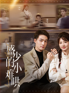 盛少的小难哄（95集全）-初遇资源网