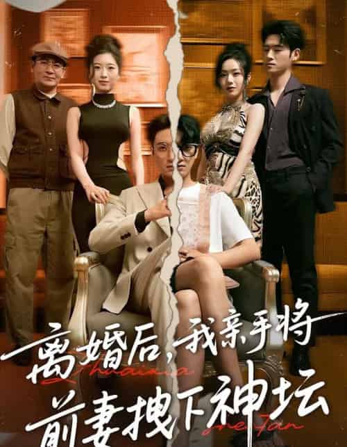 离婚后我亲手将前妻拽下神坛（34集）-初遇资源网