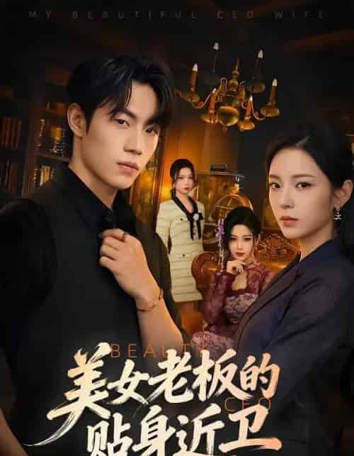 美女老板的贴身近卫(60集全)敖日格乐&邱卓雅-初遇资源网