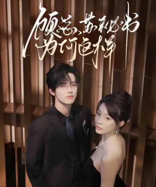 顾总，苏秘书为何这样（67集全）苏和＆李芮峤-初遇资源网