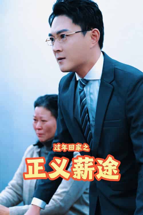 过年回家之正义薪途（40集全）-初遇资源网