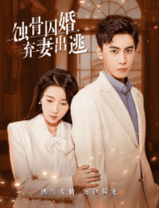 蚀骨囚婚，弃妻出逃（104集）-初遇资源网